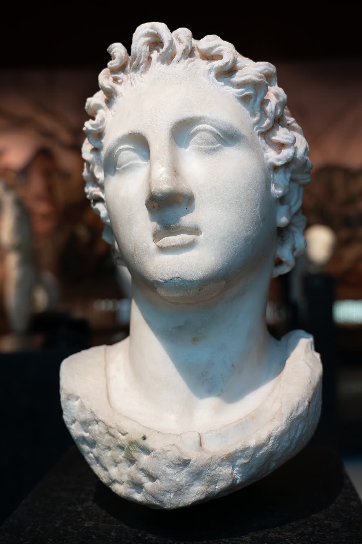 Alexandre le Grand : conquérir le monde, face à conquérir la mort