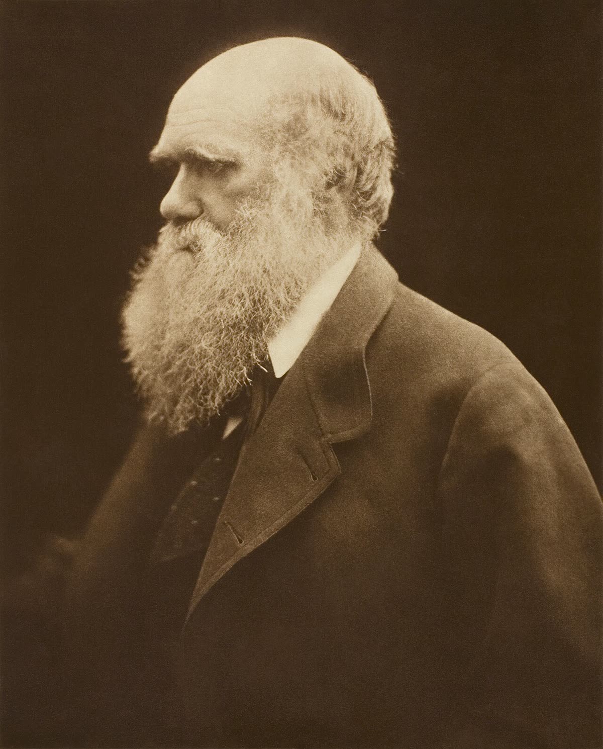 Darwin : le savant qui s'est arrêté au seuil de la vie