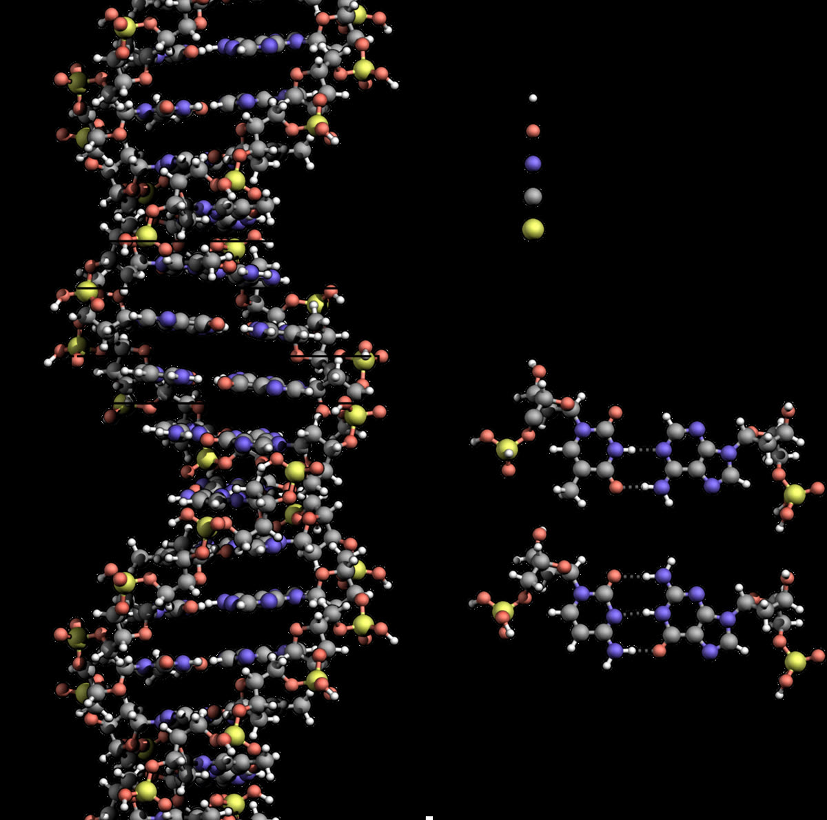 La complexité spécifiée : la signature de l'intelligence